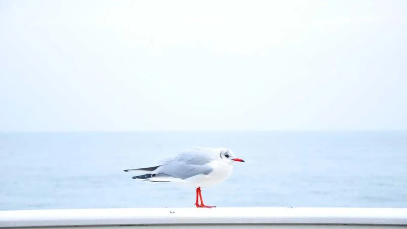 MSc in UX Engineering Thumbnail